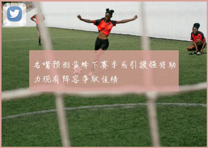 名嘴预测黄蜂下赛季或引援强将助力现有阵容争取佳绩