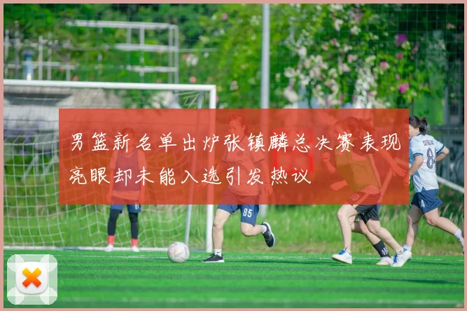 男篮新名单出炉张镇麟总决赛表现亮眼却未能入选引发热议